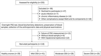 Circadian clock disruptions link oxidative stress and systemic inflammation to metabolic syndrome in obstructive sleep apnea patients